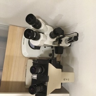 実体顕微鏡(レイマー)顕微鏡 (OLYMPUS)セット売りの画像