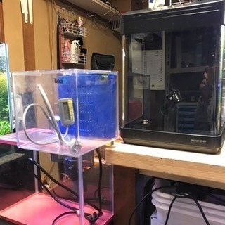 新品メダカ育成セットお安く手渡し限定