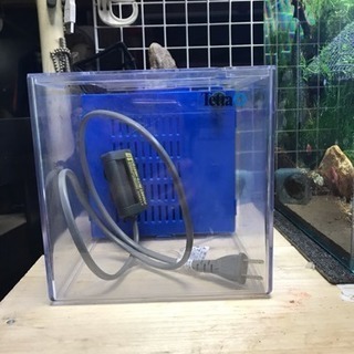 新品メダカ育成セットお安く手渡し限定の画像