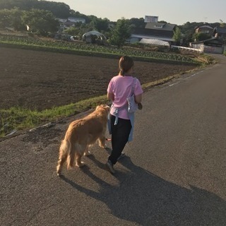 太田市 ペットシッター ペットホテル　トリミングサロン  - ペット