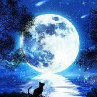 ☄💫⭐️🌟🌌LINE雑談グル☄💫⭐️🌟🌌