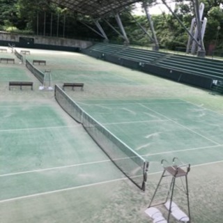 ソフトテニスメンバー募集(運動不足解消にぜひ)