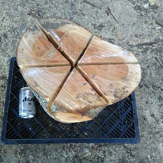 ワイルドなスウェーデントーチ（スウェディッシュトーチ）！広葉樹ケヤキ。未乾燥。茨城県潮来市。の画像