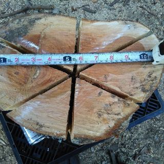 ワイルドなスウェーデントーチ（スウェディッシュトーチ）！広葉樹ケヤキ。未乾燥。茨城県潮来市。の画像
