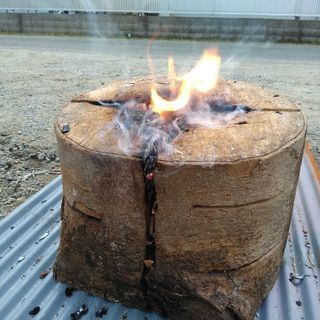 ワイルドなスウェーデントーチ（スウェディッシュトーチ）！広葉樹ケヤキ。未乾燥。茨城県潮来市。の画像