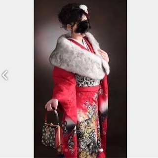 成人式振袖一式セットの画像