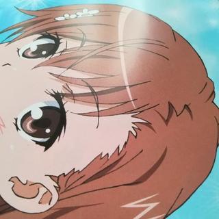 ナンバー17 とある魔術の禁書目録 シュタインズゲート 花咲いろ...