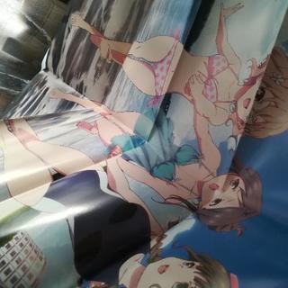 ナンバー17 とある魔術の禁書目録 シュタインズゲート 花咲いろは 両面ポスターの画像
