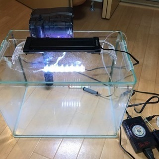ミニ水槽一式の画像