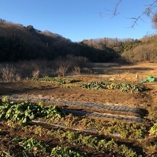 ゆる〜く里山体験しましょ^ ^ めちゃくちゃ広い無料農業体験