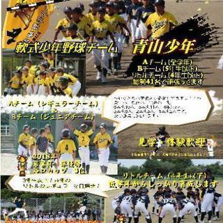 軟式少年野球部員募集（4年生以下大歓迎）：青山少年