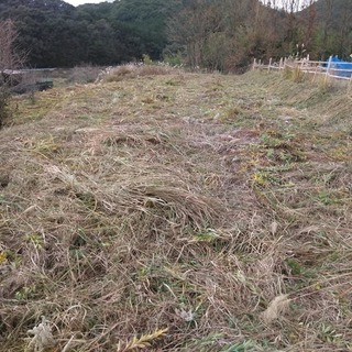 畑、耕作放棄地、山林周りの草刈りをいたします（作業料金：1㎡ 2...