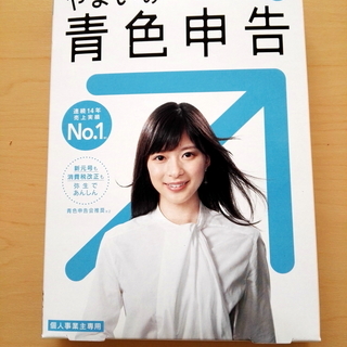 ☆やよいの青色申告１９　平成３０年度版　新品・未開封