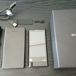 送料込み SONY ソニー WALKMAN ウォークマン NW-ZX2 ハイレゾ CKL-NWZX2