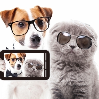 📳インスタグラム Instagram 始めませんか？🔰