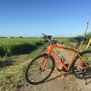 TREK 7.4fx