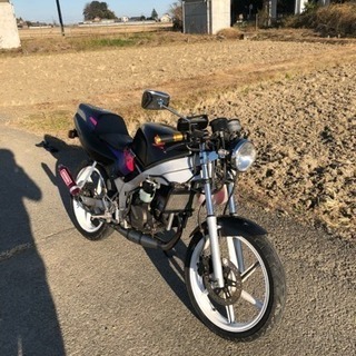 交換しませんか？ ns-1 後期型 好調！