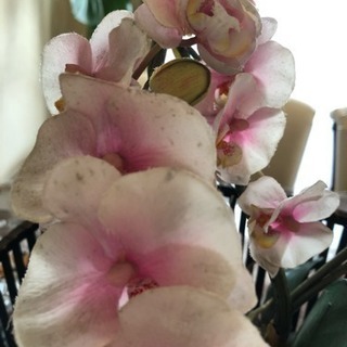 造花欄