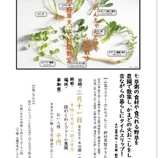山菜マスターと野草散歩