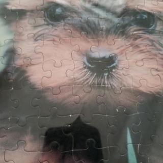 パズル　ヨーキーの画像