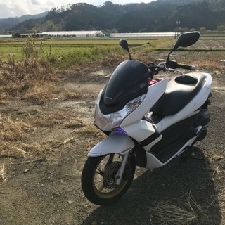 最終値下げ PCX125 SpecialEdition JF28