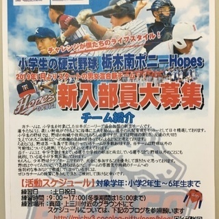小学生硬式野球  新チーム部員大募集！栃木南ポニーHopes