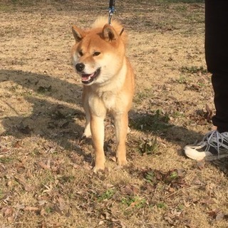 1歳8ヶ月の九州男児！