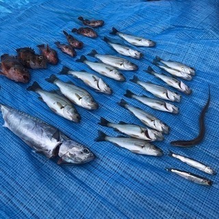 ファミリー向け釣りサークル