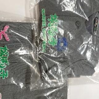 【未使用品！】円龍幼稚園女の子制服
