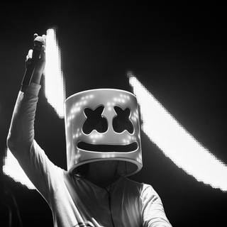Marshmelloコンサート一緒に行く人　＆　EDM好きな人