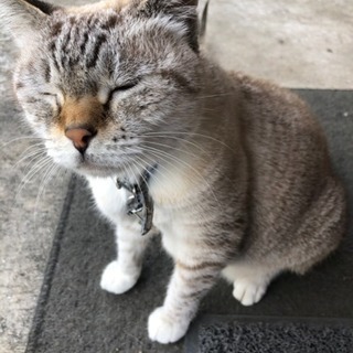 使わなくなった洗濯機ください！