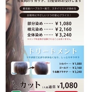 白髪染&トリートメント！２月１日オープン