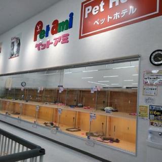 ペットショップ　販売スタッフ　募集！
