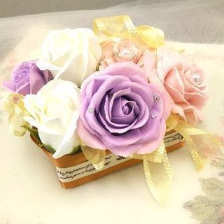 🌸２/３(日)２/５(火)２/19(火)２/24(日) １day...
