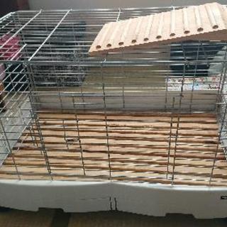 【うさぎ🐰 ゲージ 中古 大きめ】