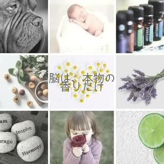 オリジナルのハンドクリーム作りのクラスです(*^^*)
の画像