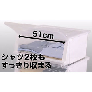 〔幅52×奥行40×高さ24cm〕収納ケース フラッテ本体＋フタ...