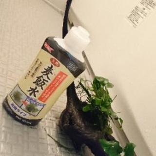 90㌢水槽類♪1万円で、どうだぁ～w
