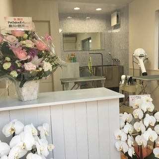 Pet Salon わん
