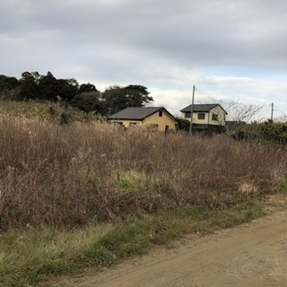 急募‼️空いている畑利用してください。