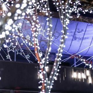 1/31 イルミネーション撮影しませんか？ - 友達