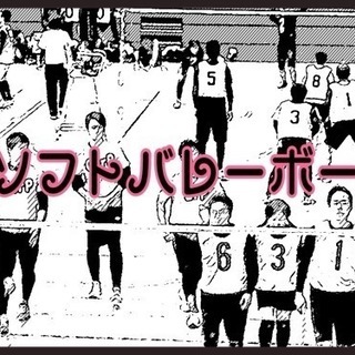 ソフトバレーボールメンバー募集