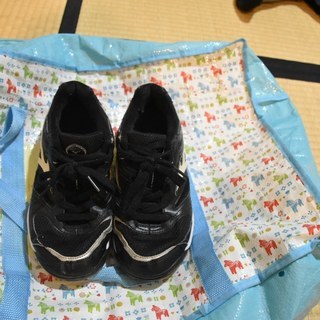 ミズノ　バレーボールシューズジュニア？