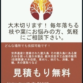 毎年枯れ葉や枯れ枝でお困りの方