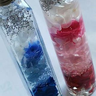 バレンタイン ガールズフェス（2月2日）の画像