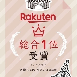 整体枕 RAKUNA （未使用、新品）※定価7538円（税込）の画像