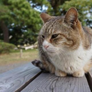 YouTube等動画配信、動画編集のお手伝い