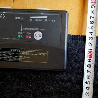 Electric carpet / 電気カーペットの画像