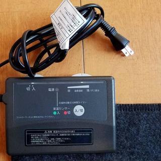 Electric carpet / 電気カーペットの画像