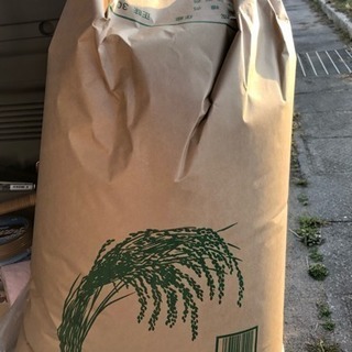 平成30年度産 お米30kg玄米 生産者直売